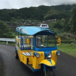 貝ノ川の棚田