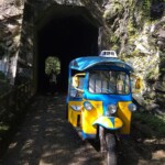 森林軌道跡のあるトンネル