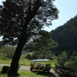 風景に溶け込んでるでしょ？