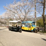 2018年春、せいらんの里トゥクトゥクレンタカーとともに